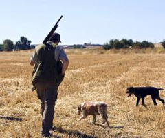 Un nuevo detenido por la trama de las licencias de caza en Santa Comba 